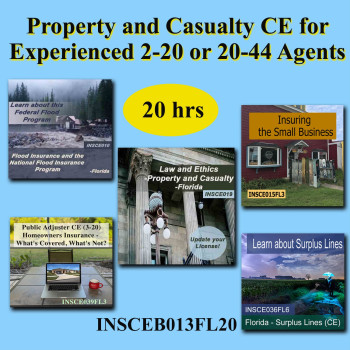 20 hr 2-20 or 20-44 CE Bundle for Experienced  Agents